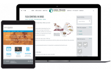 ClientEd Monthly ClientEd Monthly